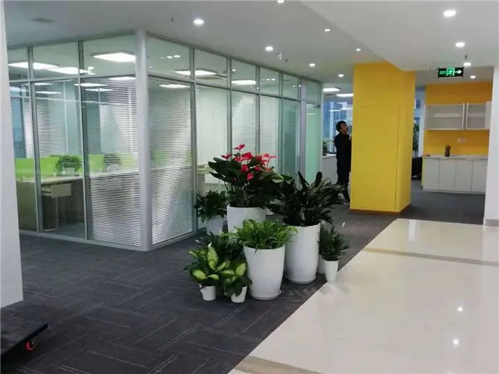 办公楼花卉出租公司 打开自然之窗，花卉出租源自常景园林的舒适体验