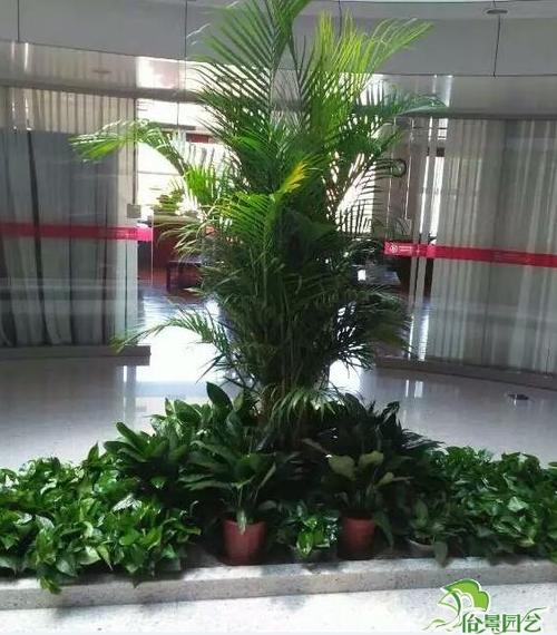 花卉租赁