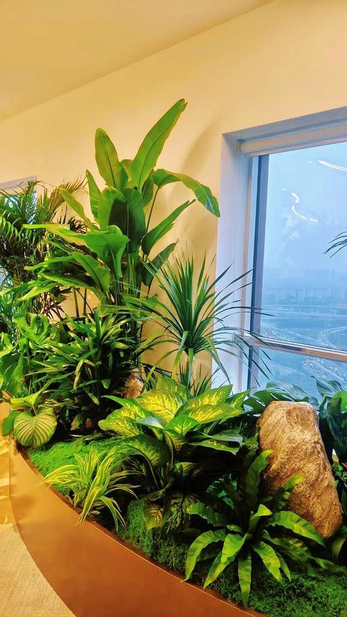 西安花卉租赁公司哪家好?西安办公室租花,西安企业租绿植