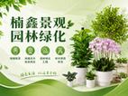 绿植租摆与花卉租赁 一站式绿化服务让空间焕发生机